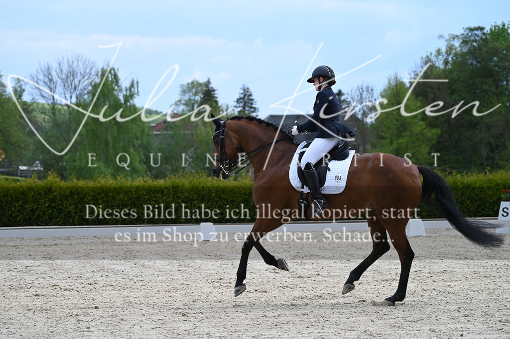 20230512_JK-Röhrsdorf-05-078 | Pferde- und Turnierfotografie in Westsachsen. Pferdeportraits, Auftragszeichnungen und intuitive Kunst.