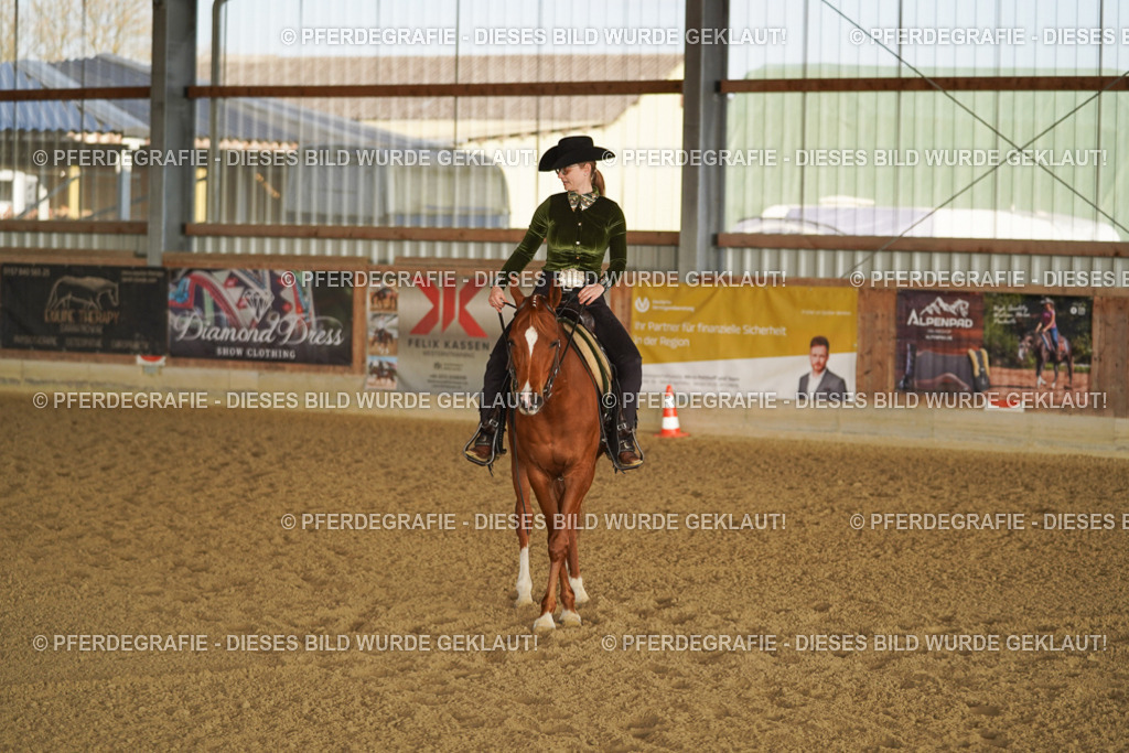 DSC08589 | Pferdegrafie