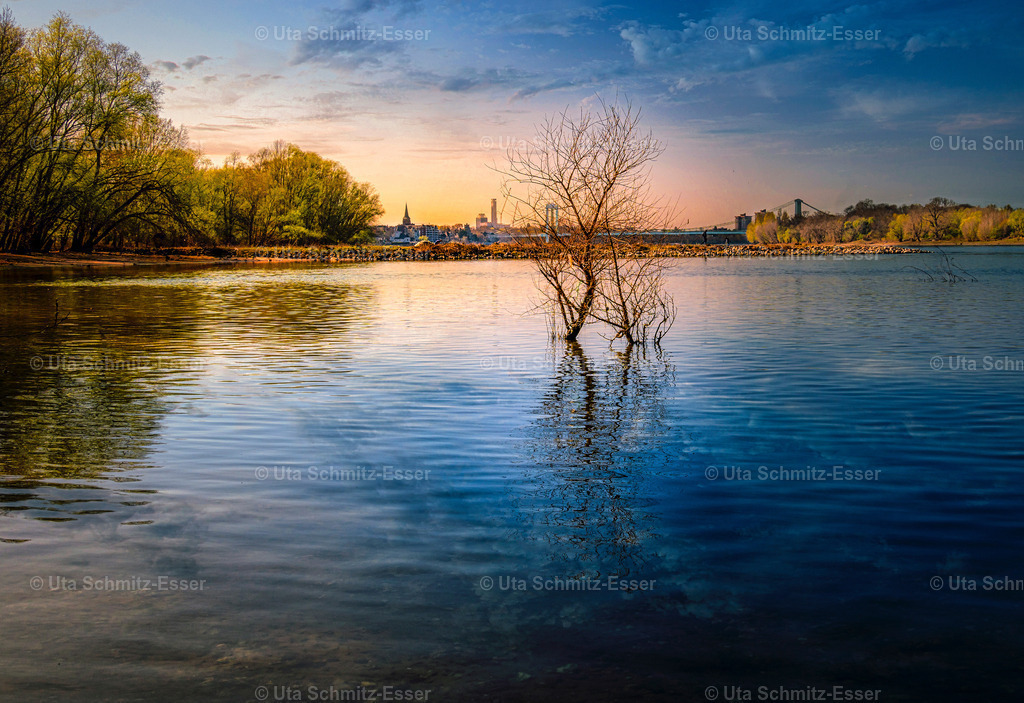 Koeln-Rodenkirchen | CEUS Design - Realisiert mit Pictrs.com