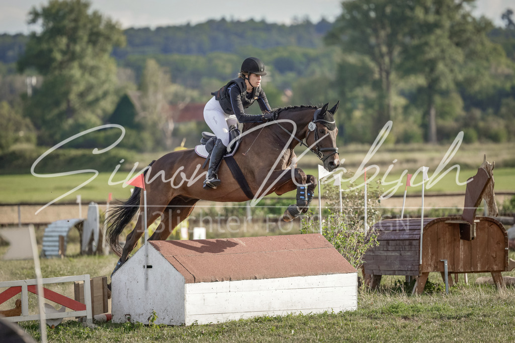 20250906-_3LI7574 | Tierfotografie Pferde, Hunde, Katzen, Haustiere.
Turnierfotografie Reitturniere, Reiten, Springreiten, Dressur in Hanau, dem Main-Kinzig-Kreis und dem Rhein-Main- Gebiet um Frankfurt