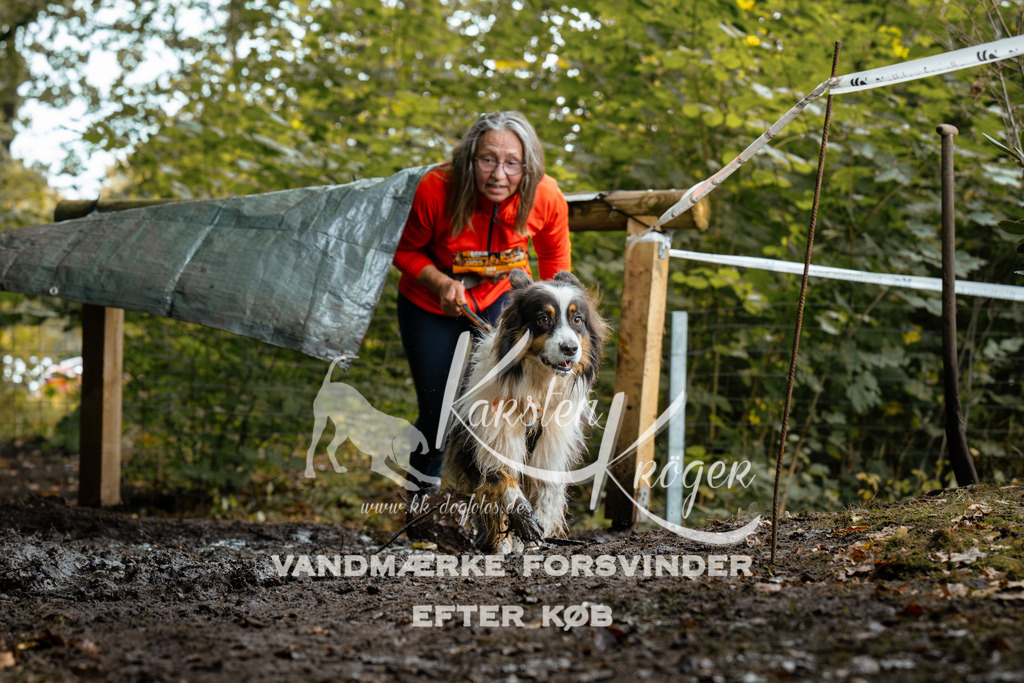 1425DZ6_1906Z6 | kk-dogfotos