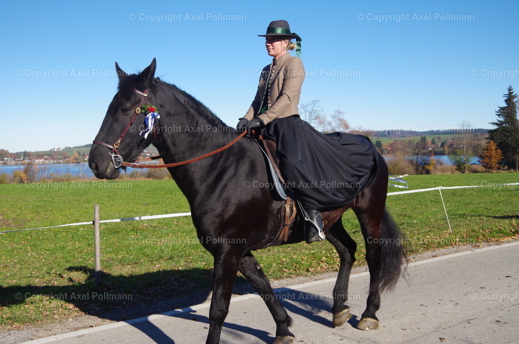IMGP8317 | fotografiert von Axel PollmannLeonhardi Wallfahrt Benediktbeuern und Murnau, Fronleichnam, Fasching, Landschaft im Loisachtal und Benediktbeuern  - Realisiert mit Pictrs.com