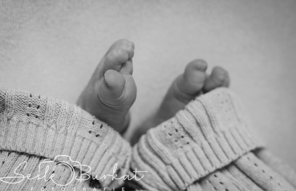 20260315-IMG_8331-2 | Authentische, natürliche und emotionale Fotoshootings auf der Nordseeinsel Föhr. Als Fotografin halte ich deine schönsten Momente in einzigartigen Neugeborenen-, Familien-, Paar- und Einzelshootings fest. Jetzt einen Termin vereinbaren!