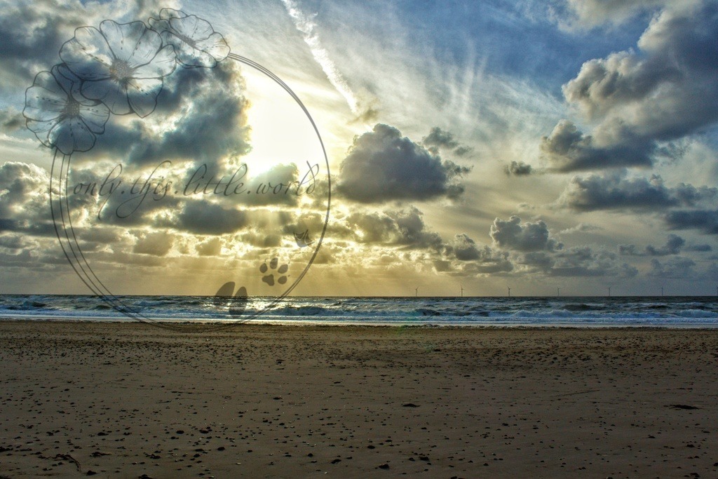 IMG_0013-02 | only.this.little.world - Realisiert mit Pictrs.com