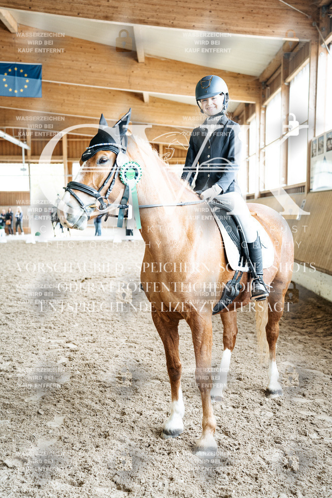 CK703387 | Turnierfotografie Pferdefotografie Trier Rheinland-Pfalz Pferdesport Reitsport Tierfotografie Sportfotografie Pferdevideo Pferdevideografie Equestrianvideography equestrianphotography  - Realisiert mit Pictrs.com