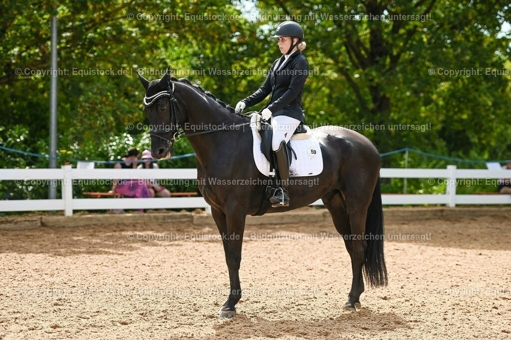 20230715_07_Dressurpferdeprfg. Kl.L_0136 | equistock