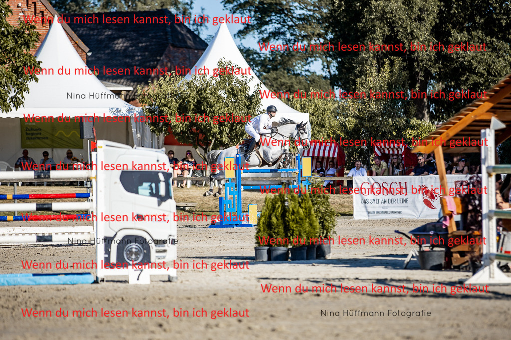 BK1A8254 | Turnierbilder Turnierfotos Nina Hüffmann Turnierfotografie Pferdefotografie Tierzeichnung Haustierzeichnung Pferdezeichnung Hundezeichnung Videograf  - Realisiert mit Pictrs.com