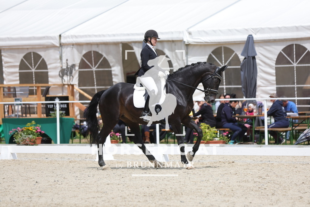 0P6A5282 | Willkommen bei Brunnmayr - Design & Fotografie – Ihrem Spezialisten für Reitturniere und Pferdeveranstaltungen in Oberösterreich, Salzburg und Bayern! Seit über 17 Jahren sind wir leidenschaftlich dabei.