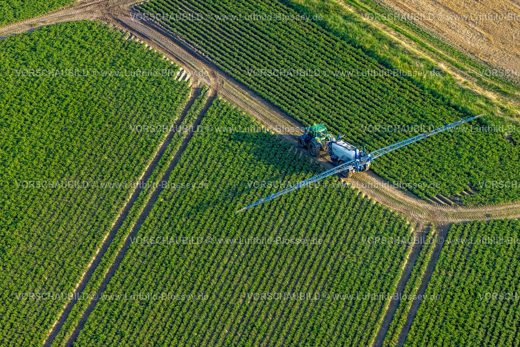 Werl230807387 | Luftbild, Feldarbeit mit Landmaschinen, besprühen von Feldern, Sönnern, Werl, Werl-Unnaer Börde, Nordrhein-Westfalen, Deutschland