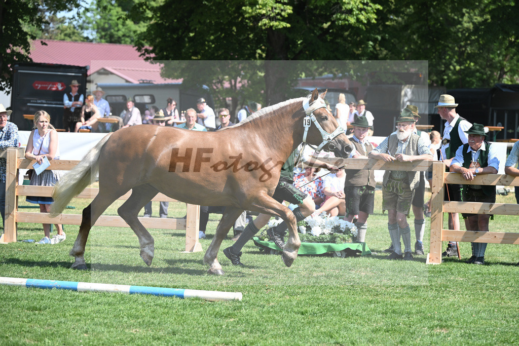 Kat-Nr. 19 Madrid_Bachmair_20230285 | hf-fotografie - Realisiert mit Pictrs.com