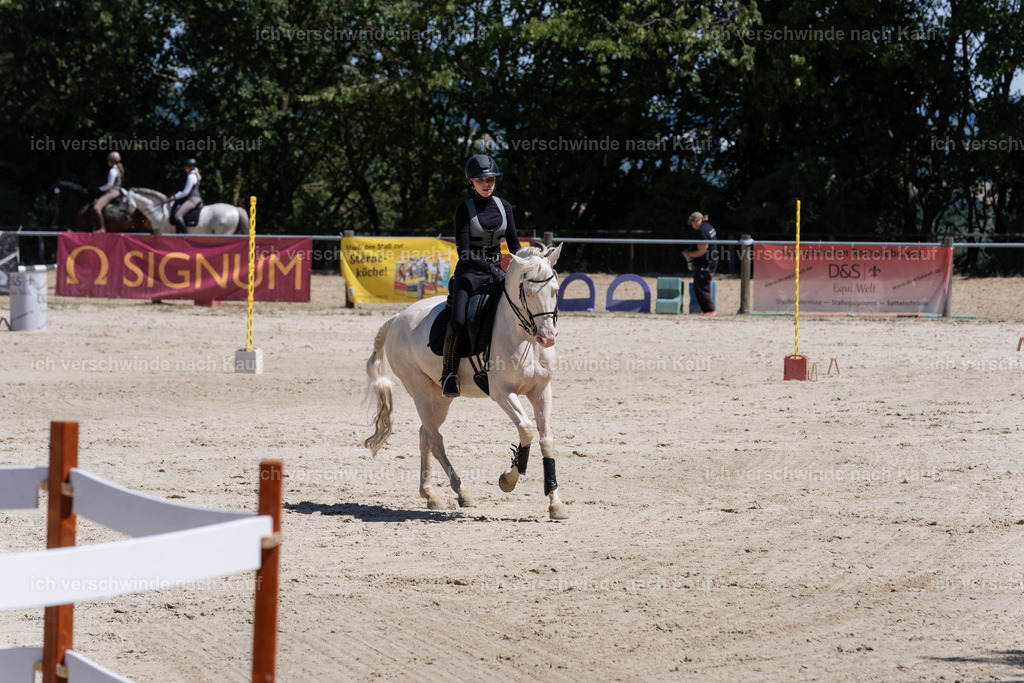 WM_SP_76_SinaFilmArt_IN06658 | working equitationturnier fotograf videograf stoibphotography marixx film working equitation deutschland reitsport turnierfotografie eventfotografie equestrian events