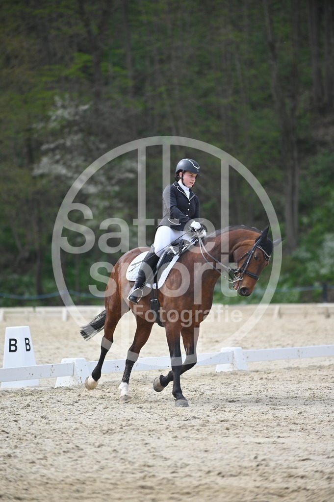 DSC_4955 | sattelsport - Realisiert mit Pictrs.com