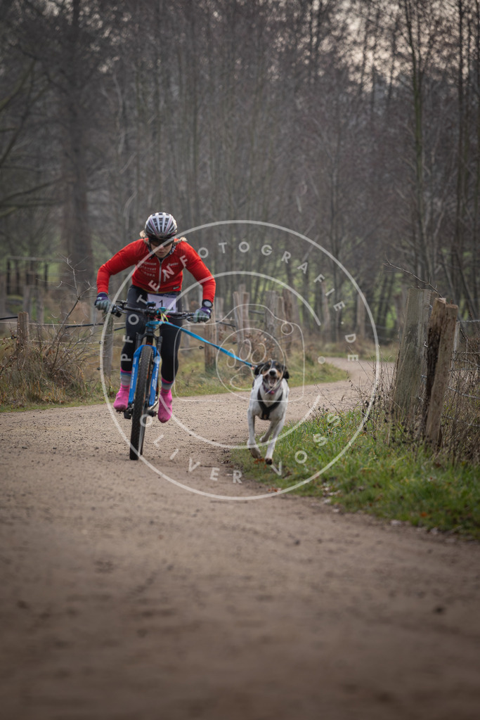 Pfotenfotografie_DV3A1452 | Hundefotografie, Tierfotograf, Pfotenfotografie, Fotoshooting Hund, Hunde Portrait, Hundesport, Hundeportraits, Heideshooting, Hunde, Sportfotograf, Hundefotograf, Turnierhundsport, THS,  - Realisiert mit Pictrs.com