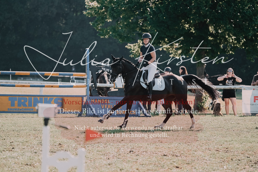 DSC_4706 | Pferde- und Turnierfotografie in Westsachsen. Pferdeportraits, Auftragszeichnungen und intuitive Kunst.