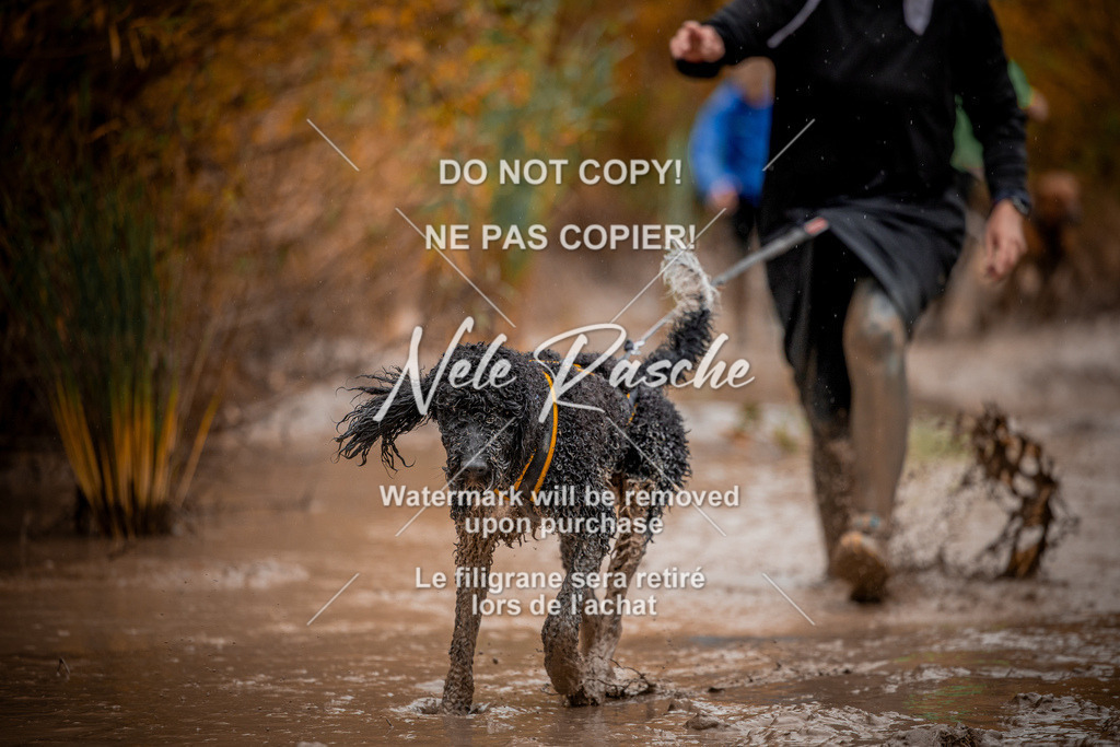 nelerasche_Creepy2025_Sa1300-1330_229 | nelerasche