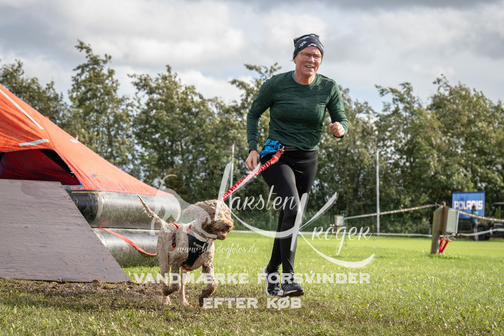 1421-94041 | kk-dogfotos