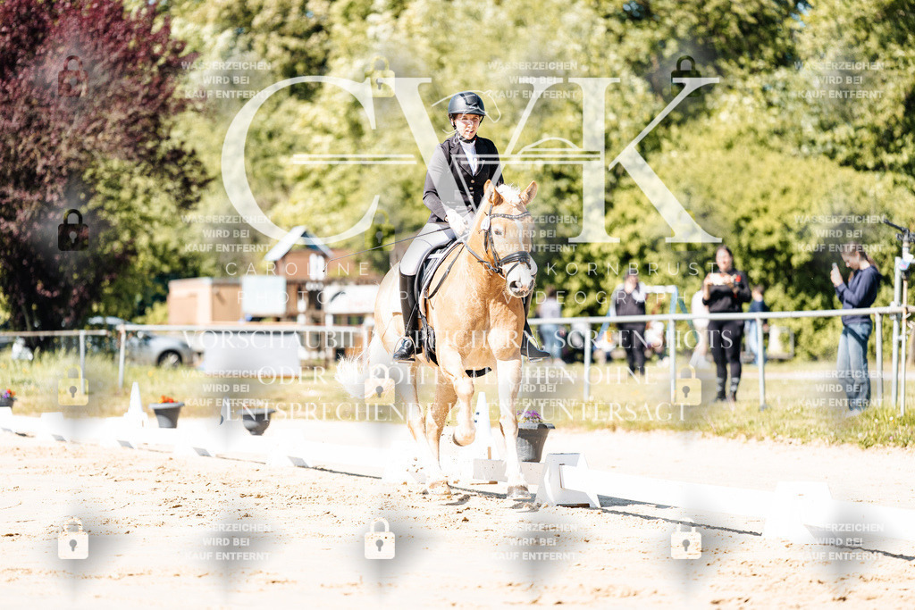 CK904986 | Turnierfotografie Pferdefotografie Trier Rheinland-Pfalz Pferdesport Reitsport Tierfotografie Sportfotografie Pferdevideo Pferdevideografie Equestrianvideography equestrianphotography  - Realisiert mit Pictrs.com