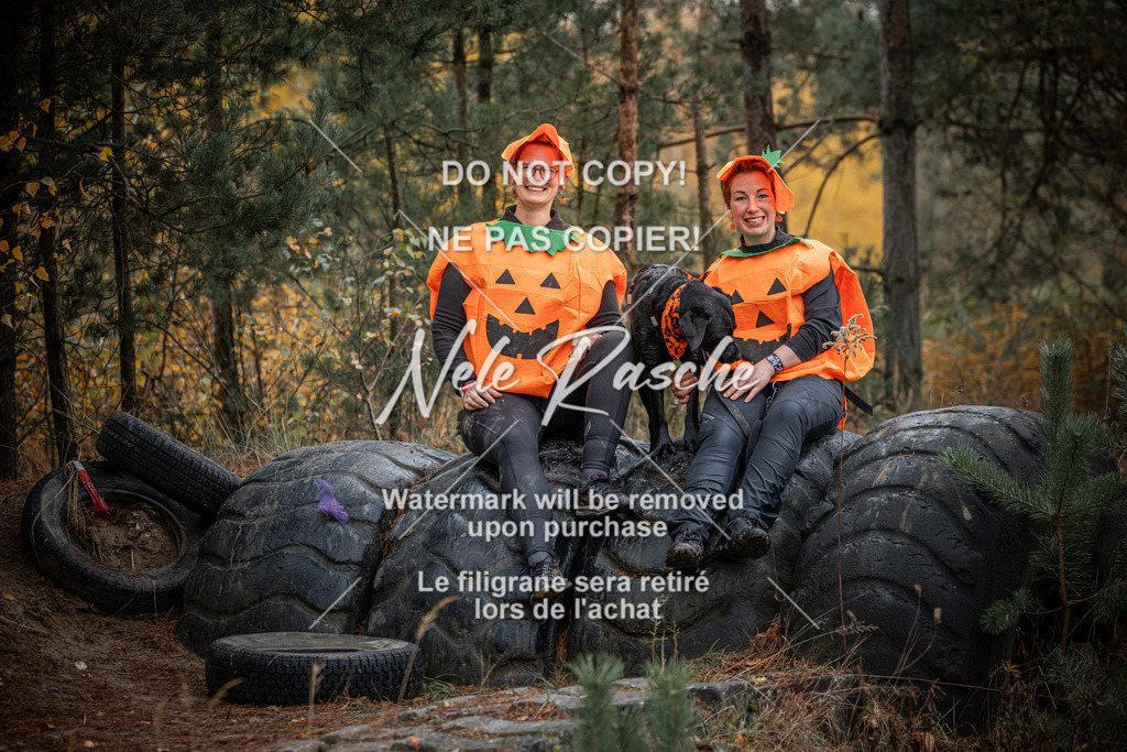 nelerasche_Creepy2025_So1000-1100_322 | nelerasche