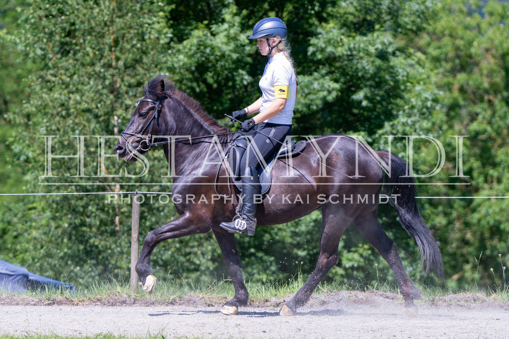 KAI09566 | Ihr sucht einen Fotografen für eure nächste OSI? Ich begleite auch euer Turnier für Islandpferde fotografisch.  - Realisiert mit Pictrs.com