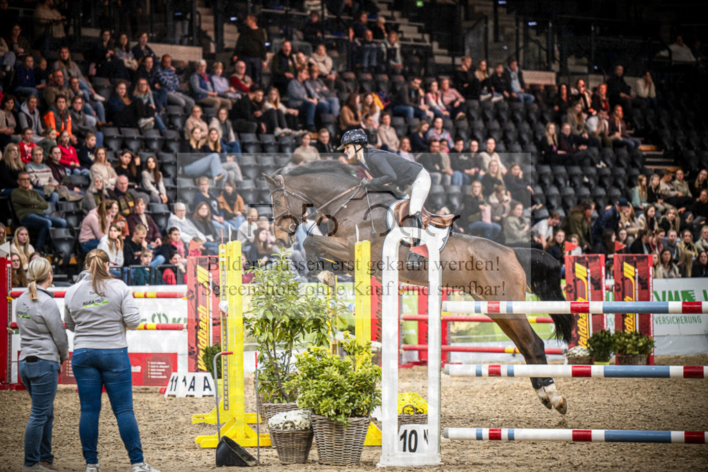 DOS_2837 | Entdecke hochwertige Reitturnierfotos von Foto Oger. Professionell, emotional und authentisch – jetzt Lieblingsmomente im Shop bestellen.Deutschlandweite Turnierfotografie. - Realisiert mit Pictrs.com