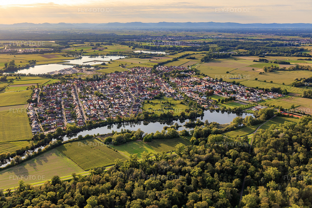 Luftbild: Ortsansicht aus Osten himterm Gewässer Fischmahl am Rheindamm in Leimersheim im Bundesland Rheinland-Pfalz in Deutschland. Foto: IMG_102448.jpg vom 24.08.2017 durch Werner Riehm/FLY-FOTO.de