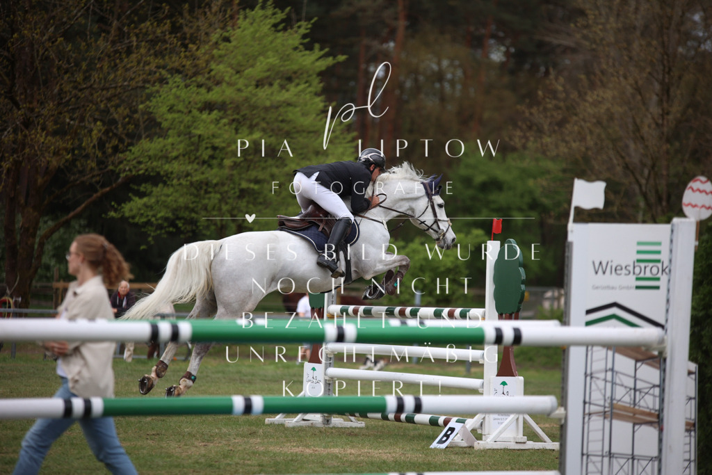 IMGT1805 | pl-fotografie