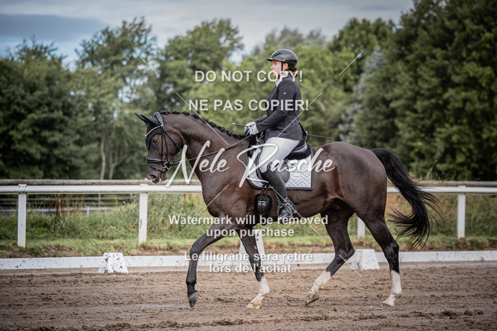 nelerasche_DrEEde_38 | nelerasche