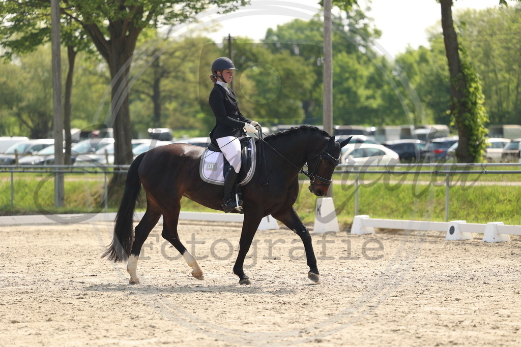 994A6589 | sabrinanicolaifotografie - Realisiert mit Pictrs.com