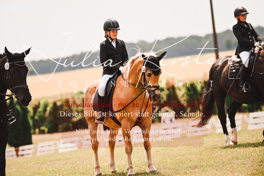 DSC_6391 | Pferde- und Turnierfotografie in Westsachsen. Pferdeportraits, Auftragszeichnungen und intuitive Kunst.