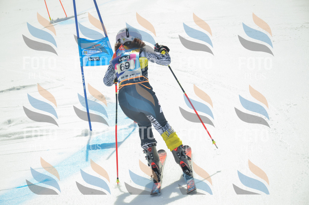 _ELE5426 | holidayphoto