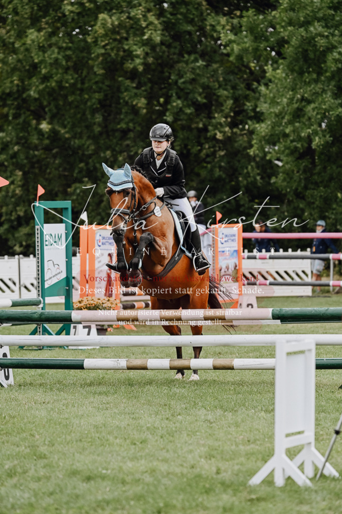 DSC_6827 | Pferde- und Turnierfotografie in Westsachsen. Pferdeportraits, Auftragszeichnungen und intuitive Kunst.