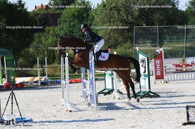 OHT 2022 Röhlingen (67) | Fotografie, Tiere, Hunde, Katzen, Pferde, Sportfotografie, Fotosession, Tierfotografie, Turnierfotografie, Fotografin, Fotograf - Realisiert mit Pictrs.com