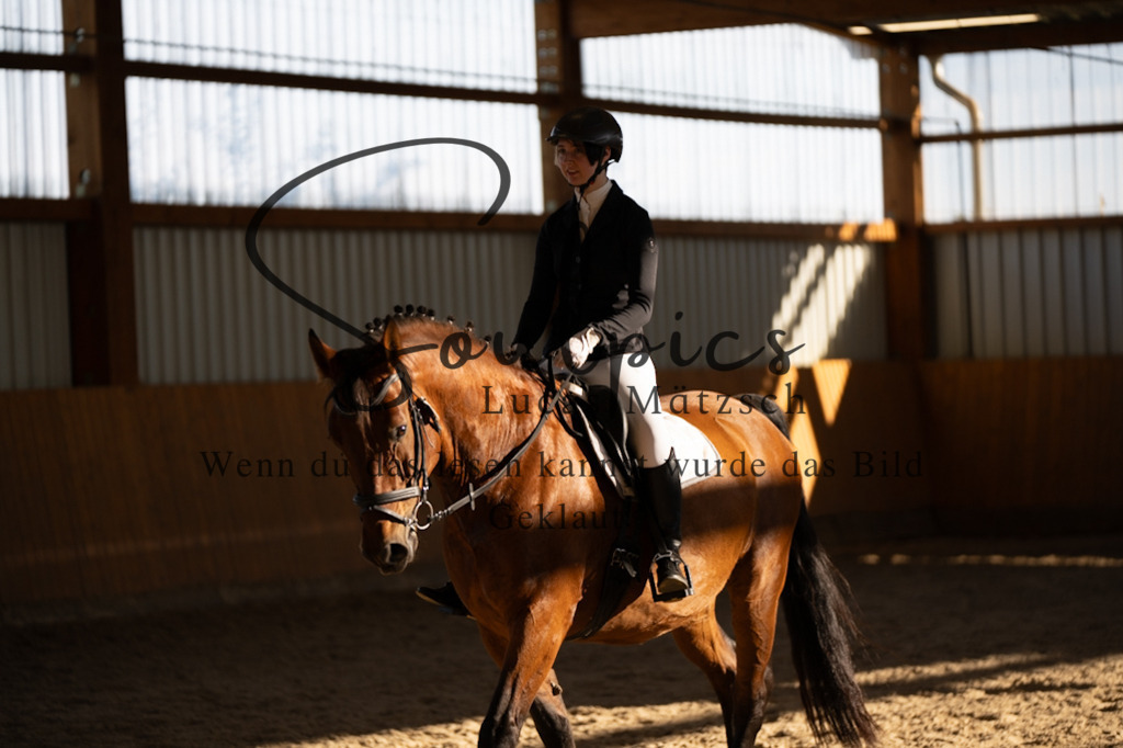 A7V01776 | Turnier/Reitfotograf