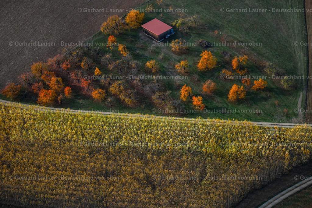 3808257 | Herbstliche Bäume am Teufelstisch bei Dachstadt