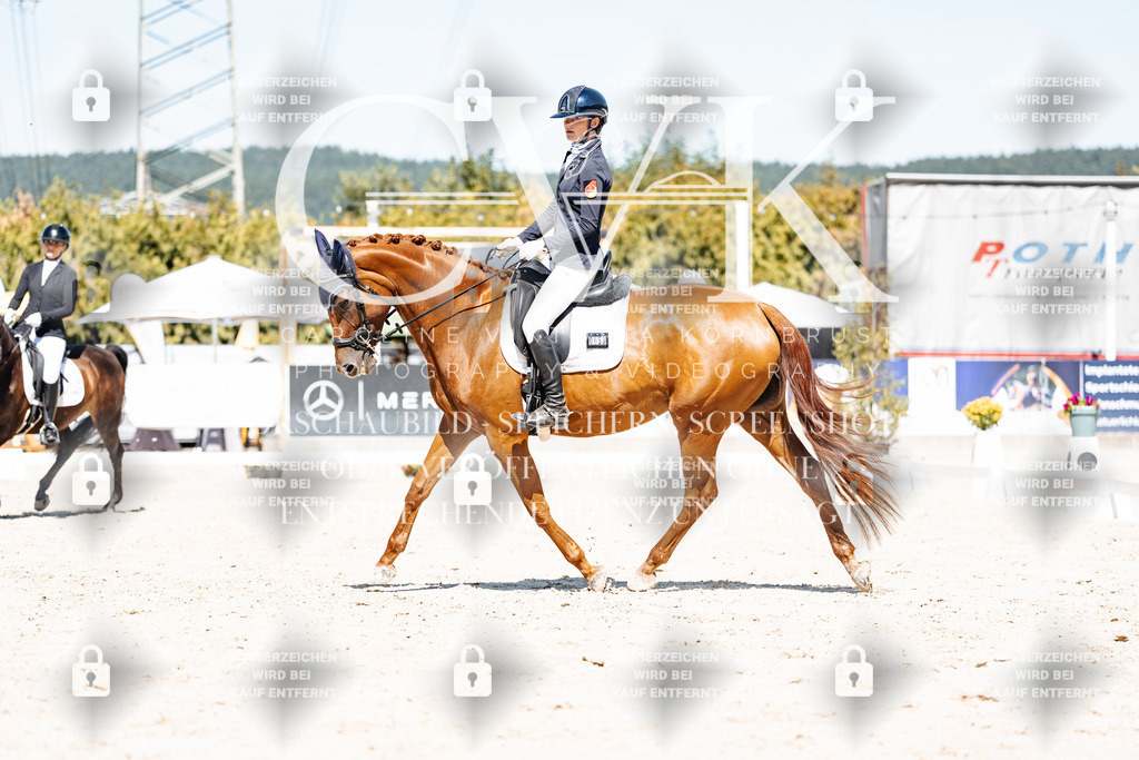 CK909630 | Turnierfotografie Pferdefotografie Trier Rheinland-Pfalz Pferdesport Reitsport Tierfotografie Sportfotografie Pferdevideo Pferdevideografie Equestrianvideography equestrianphotography  - Realisiert mit Pictrs.com