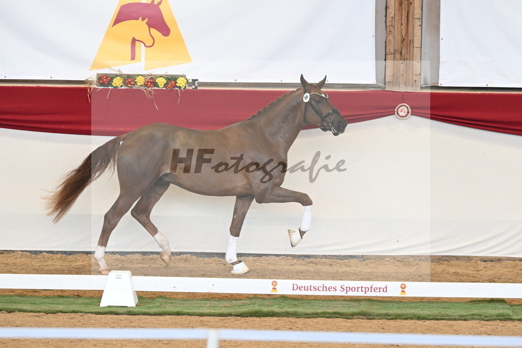 Kat.-Nr. 58 v. Filox_Rothenberger_3260646 | hf-fotografie - Realizzato con Pictrs.com