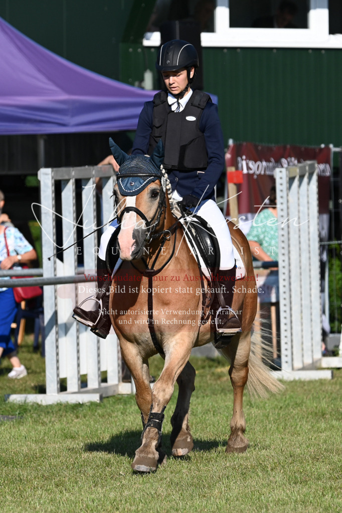 DSC_4827 | Pferde- und Turnierfotografie in Westsachsen. Pferdeportraits, Auftragszeichnungen und intuitive Kunst.
