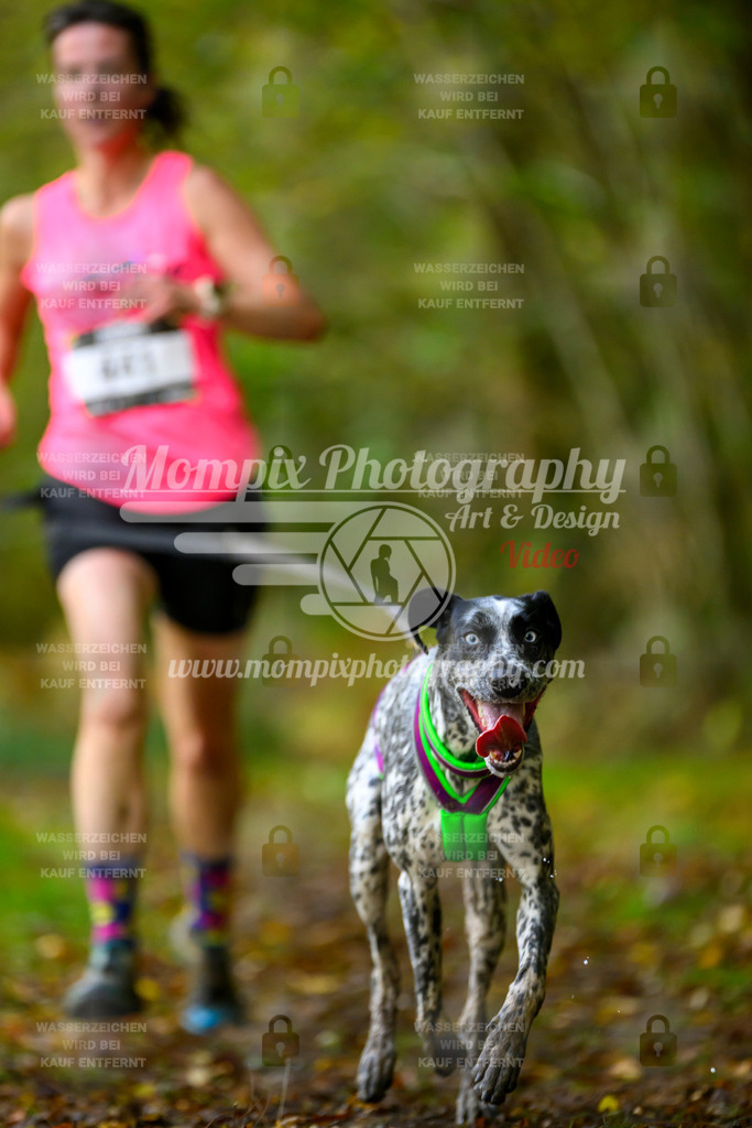 MompixPhotography_20TSB_E1_Run-80 | PayLife