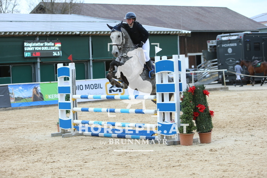 DL2Q0082 | Willkommen bei Brunnmayr - Design & Fotografie – Ihrem Spezialisten für Reitturniere und Pferdeveranstaltungen in Oberösterreich, Salzburg und Bayern! Seit über 17 Jahren sind wir leidenschaftlich dabei.