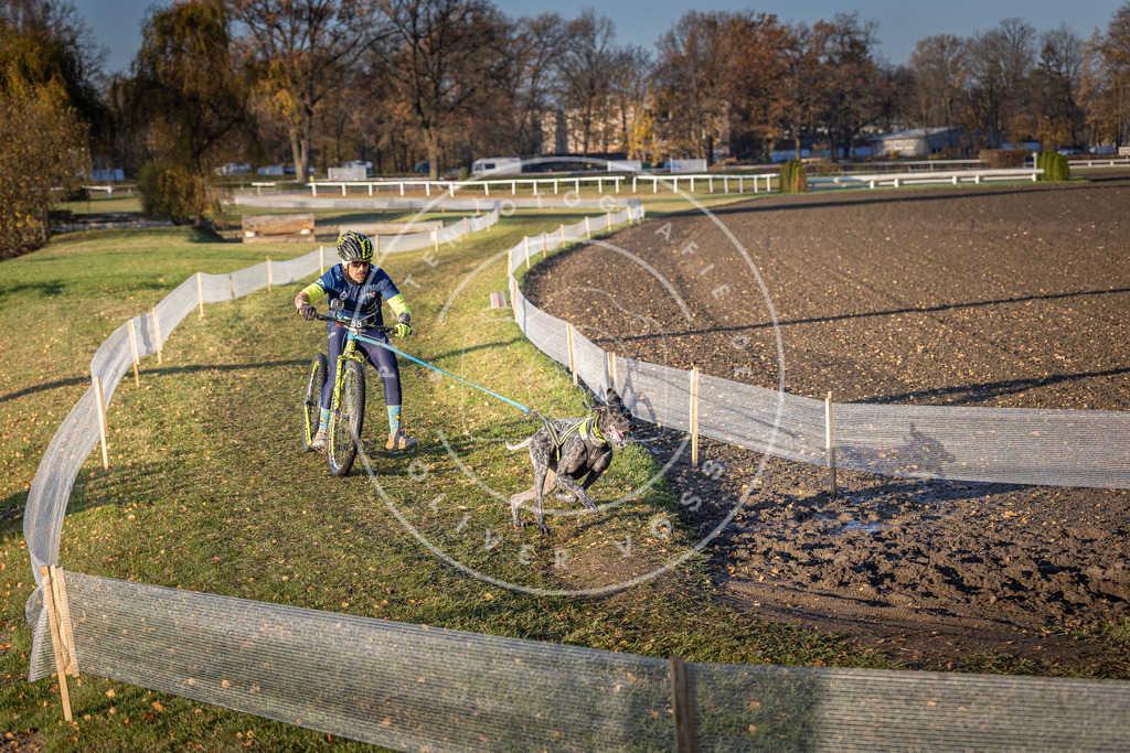 CaniXpix_DV3A0656 | Hundefotografie, Tierfotograf, Pfotenfotografie, Fotoshooting Hund, Hunde Portrait, Hundesport, Hundeportraits, Heideshooting, Hunde, Sportfotograf, Hundefotograf, Turnierhundsport, THS,  - Realisiert mit Pictrs.com