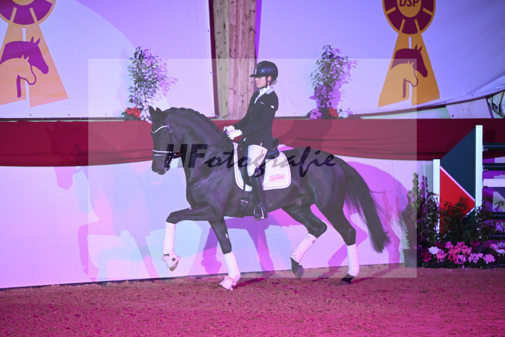 Dream Royal_1235117 | hf-fotografie - Realisiert mit Pictrs.com