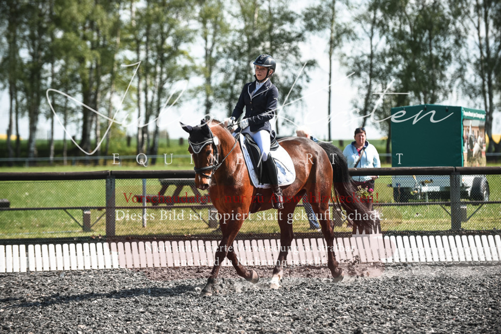 DSC_8887 | Pferde- und Turnierfotografie in Westsachsen. Pferdeportraits, Auftragszeichnungen und intuitive Kunst.