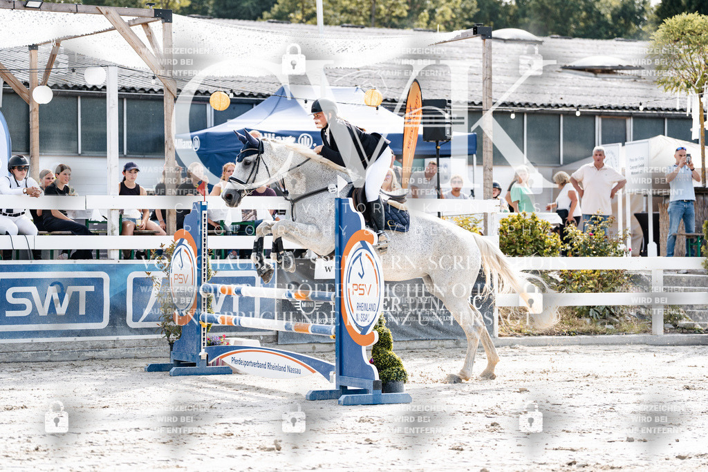 CK905492 | Turnierfotografie Pferdefotografie Trier Rheinland-Pfalz Pferdesport Reitsport Tierfotografie Sportfotografie Pferdevideo Pferdevideografie Equestrianvideography equestrianphotography  - Realisiert mit Pictrs.com