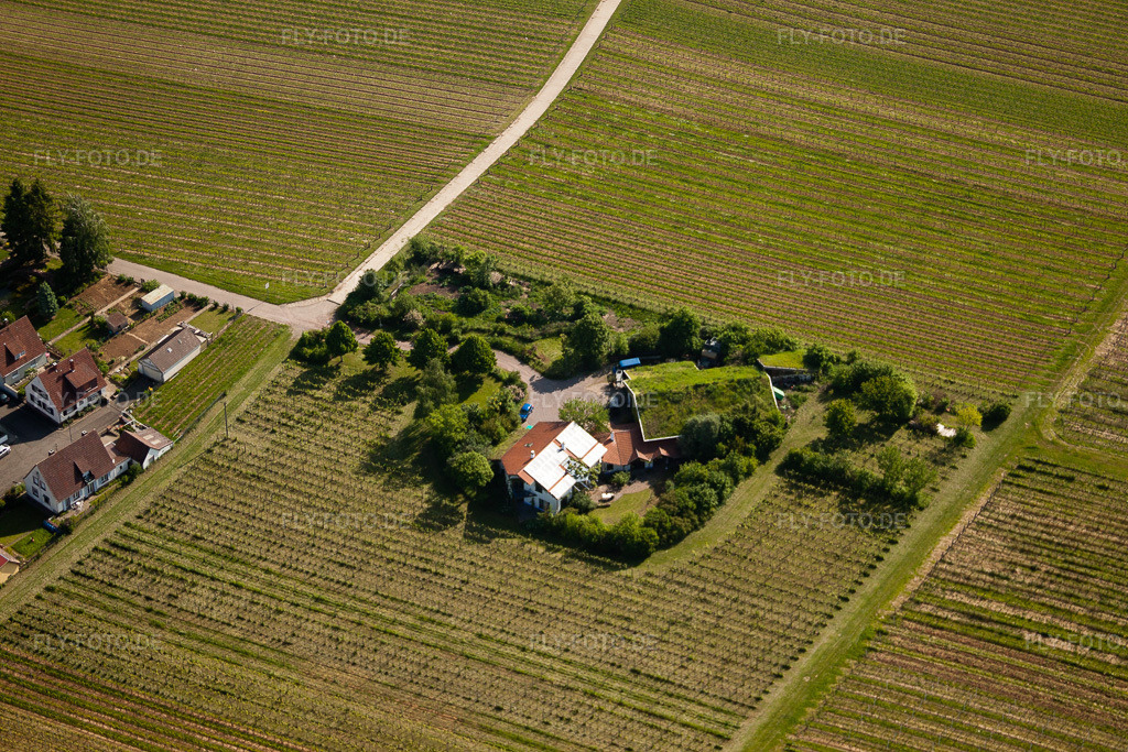 Luftbild: Bioland Weingut Marzolph im Ortsteil Wollmesheim in Landau im Bundesland Rheinland-Pfalz in Deutschland. Foto: IMG_27241.jpg vom 23.05.2010 durch Werner Riehm/FLY-FOTO.de