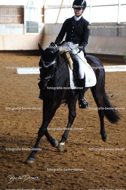 JugendTrophy0131 | Fotografie, Tiere, Hunde, Katzen, Pferde, Sportfotografie, Fotosession, Tierfotografie, Turnierfotografie, Fotografin, Fotograf - Realisiert mit Pictrs.com