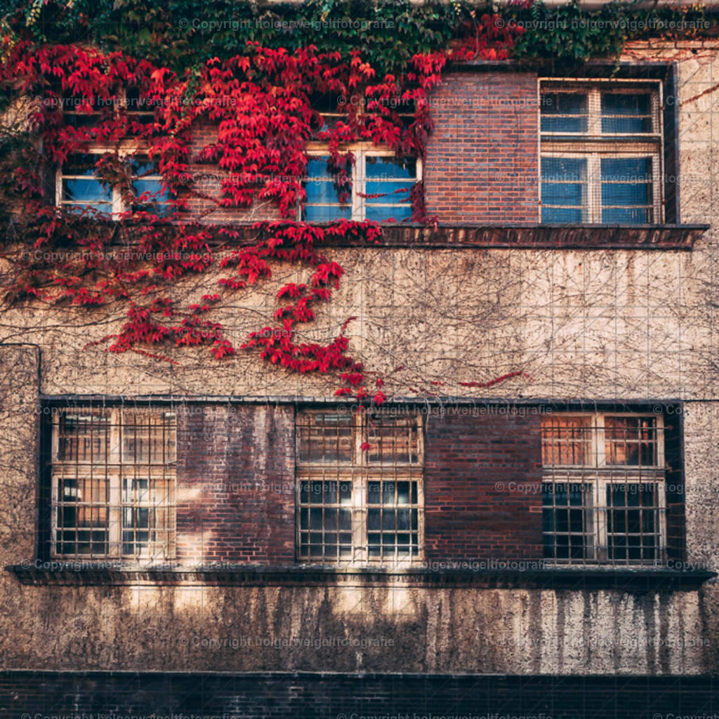 20221008123331D75_0728 | Kaufen sie online außergewöhnliche Fotografien auf Leinwand Acrylglas Fotoprint Aludibond von holgerweigeltfotografie - Realized with Pictrs.com