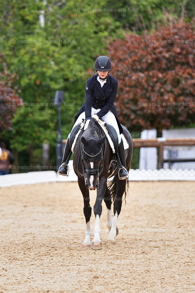 6-182-AMATUER-DRESSUR S_  -Marixx-3718 | working equitationturnier fotograf videograf stoibphotography marixx film working equitation deutschland reitsport turnierfotografie eventfotografie equestrian events