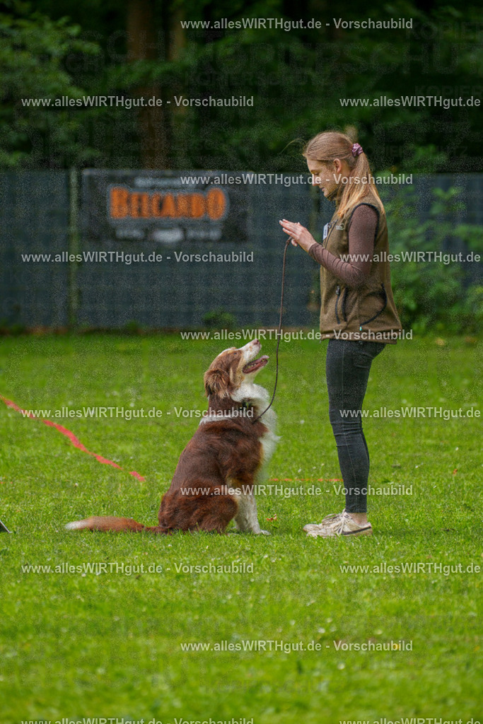 @allesWIRTHgut_Tierfotografie - www.allesWIRTHgut.de - 7R500514 | Professionelle Tierfotografie in Mönchengladbach von Daniel Wirth (allesWIRTHgut). Liebevolle & natürliche Bilder von Hunden & Katzen für unvergessliche Erinnerungen.