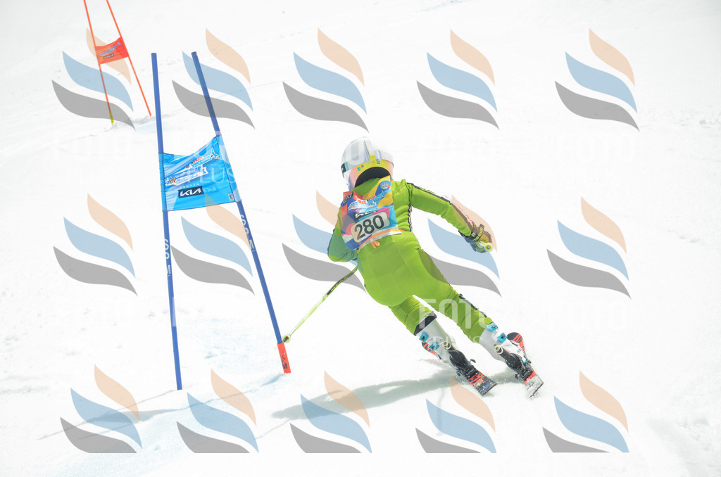 _ELE7940 | holidayphoto