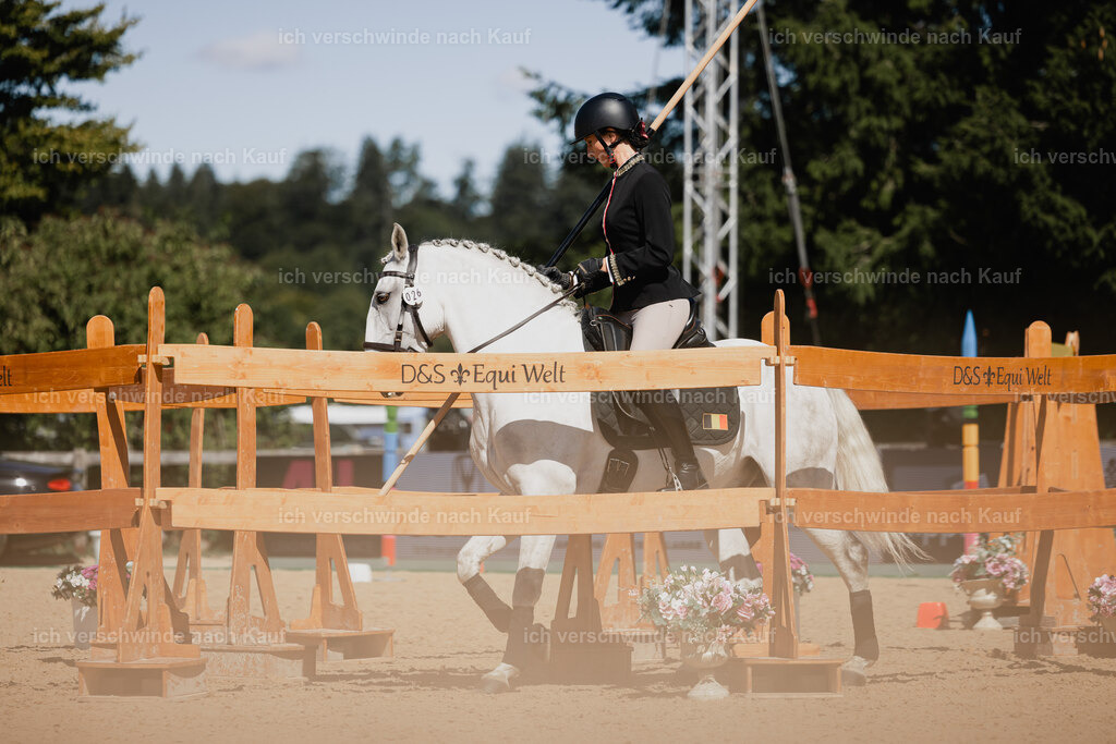 Virginie12FHC2025-27280 | working equitationturnier fotograf videograf stoibphotography marixx film working equitation deutschland reitsport turnierfotografie eventfotografie equestrian events
